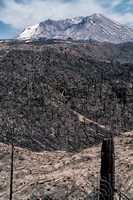 Mt Saint Helens
